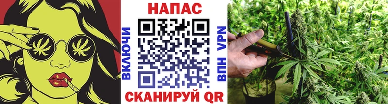МАРИХУАНА MAZAR  darknet телеграм  Иннополис 